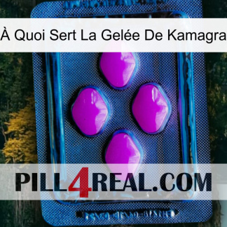 À Quoi Sert La Gelée De Kamagra 04